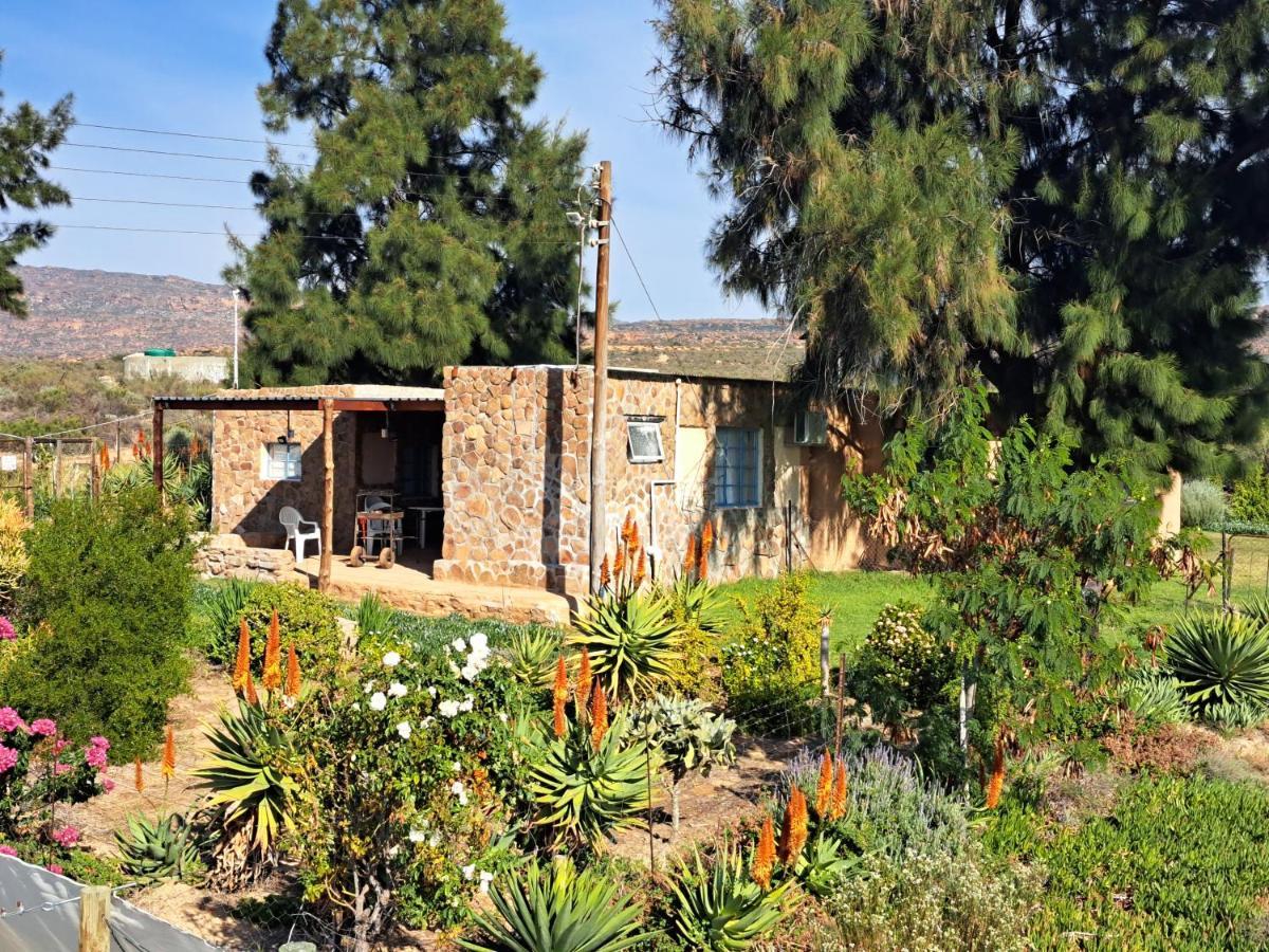Neels Cottage Clanwilliam Exterior foto